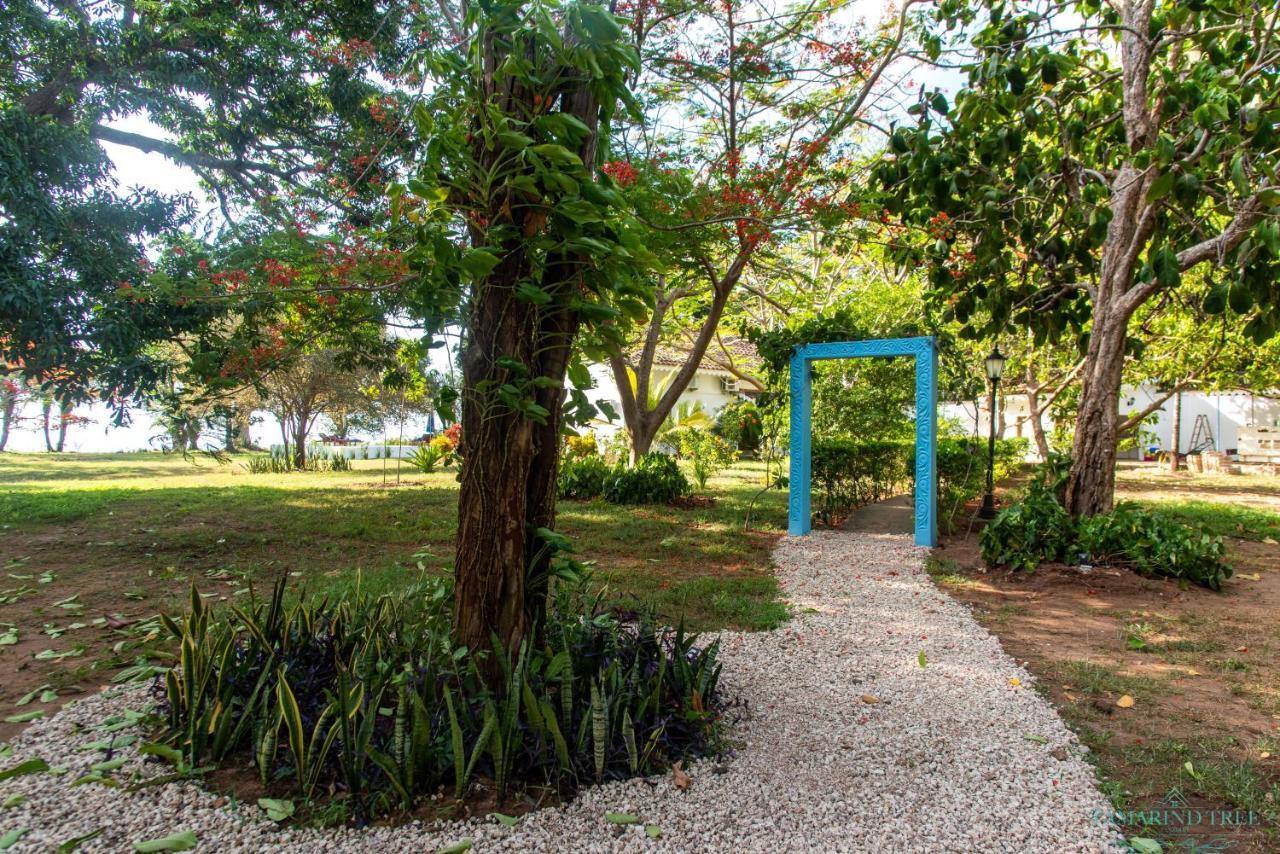 Villa Tamarind Tree Zanzibár